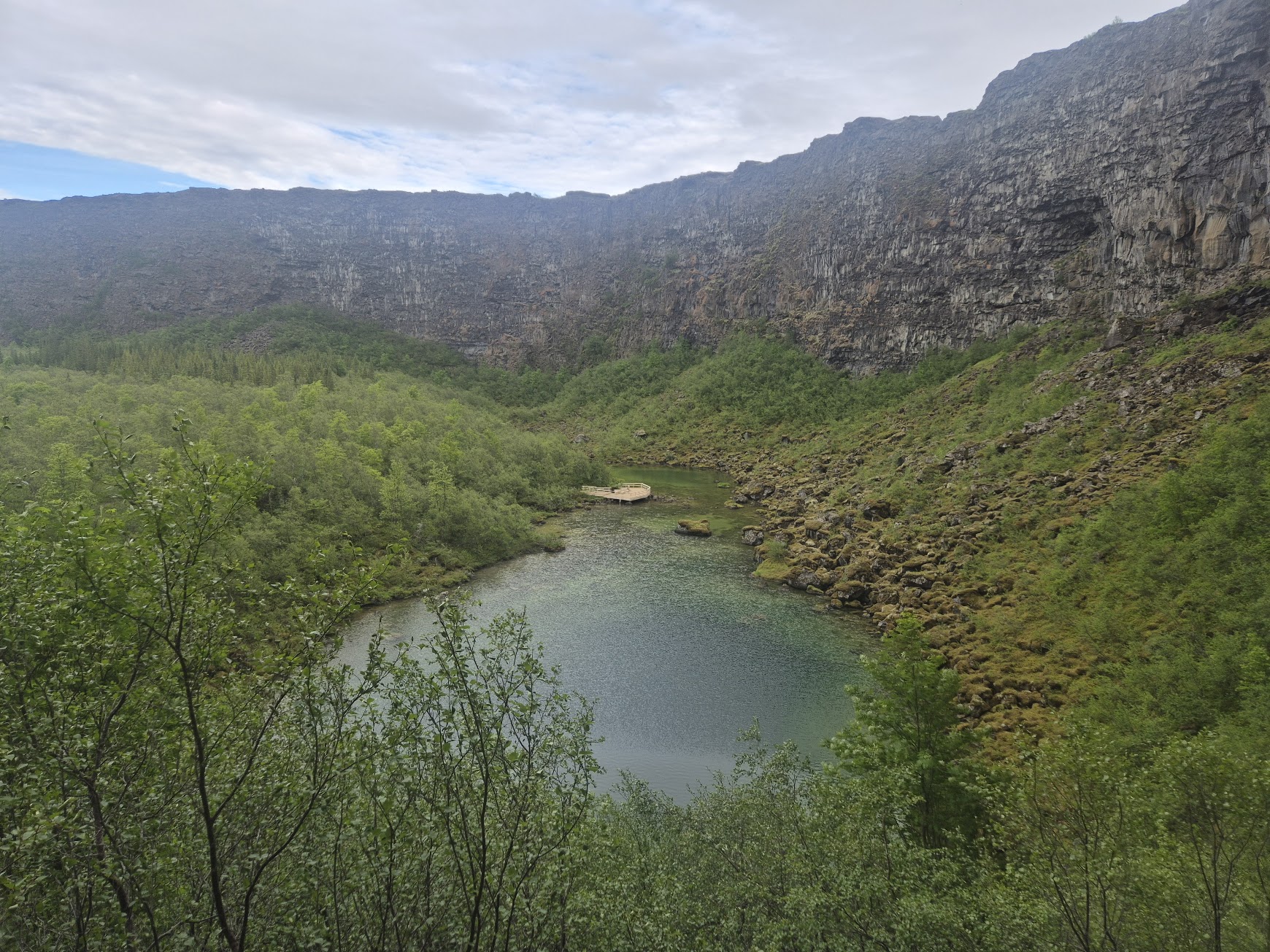 View into the green Ásbyrgi canyon with its still pond and curving cliff walls